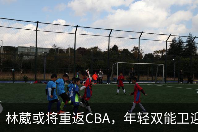 林葳或将重返CBA，年轻双能卫迎新机遇